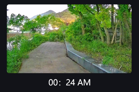 Nhìn trong bóng tối: Hướng dẫn đơn giản về camera ánh sáng đen bảo mật tầm nhìn ban đêm